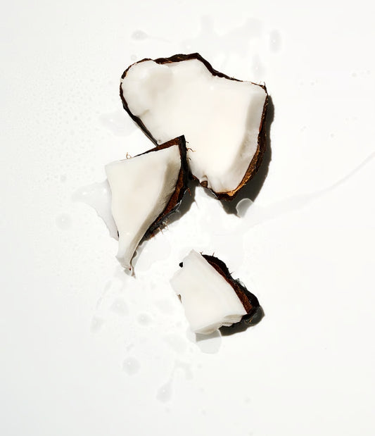 Travel Size Body Lotion- Coconut