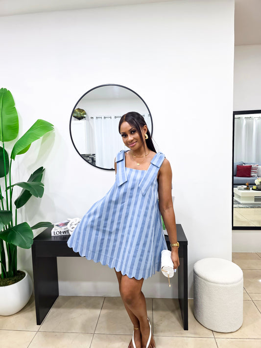 Dakota Denim Dress