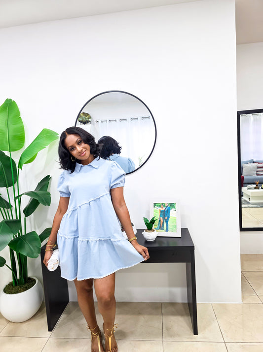 Petra Denim Mini Dress